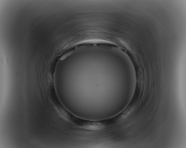 X0000086020459200703301036