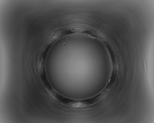X0000086020460200703301036