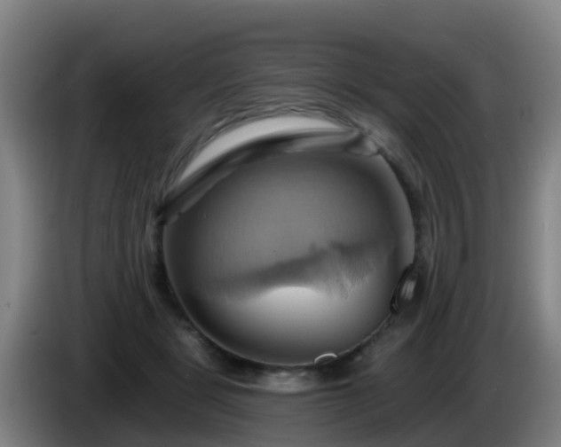 X0000086020461200703301036