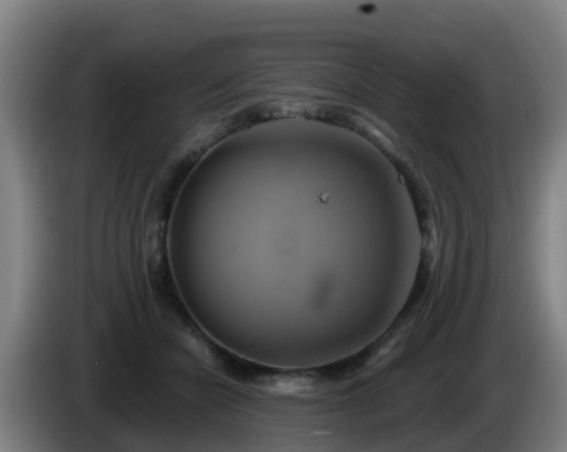 X0000086020462200703301036