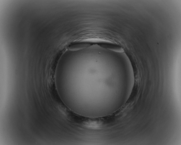 X0000086020464200703301036