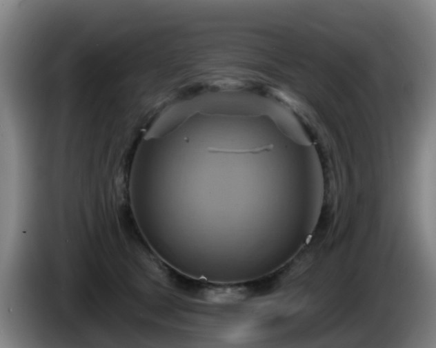 X0000086020465200703301036