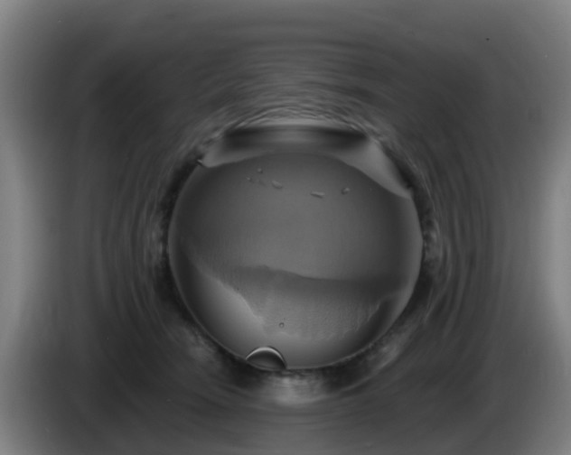 X0000086020466200703301036