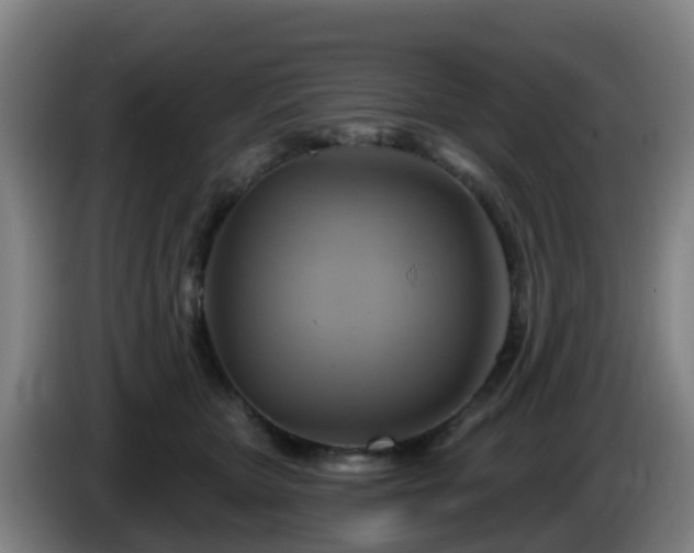 X0000086020467200703301036