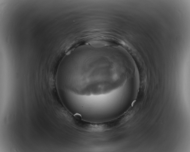 X0000086020469200703301036