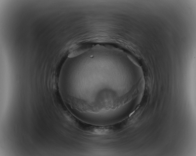 X0000086020470200703301036
