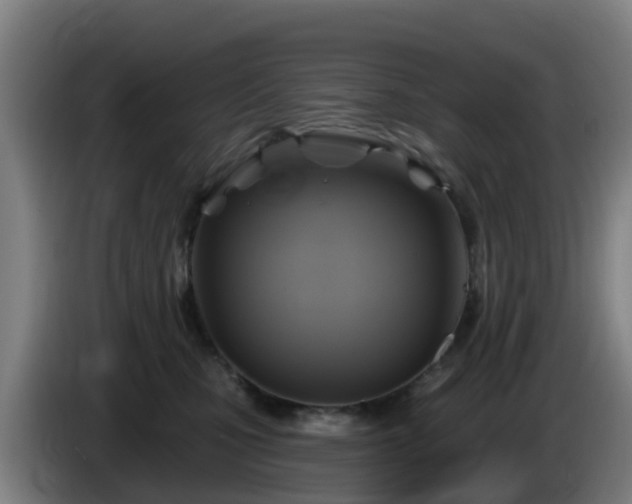 X0000086020471200703301036