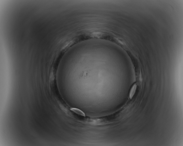 X0000086020472200703301036