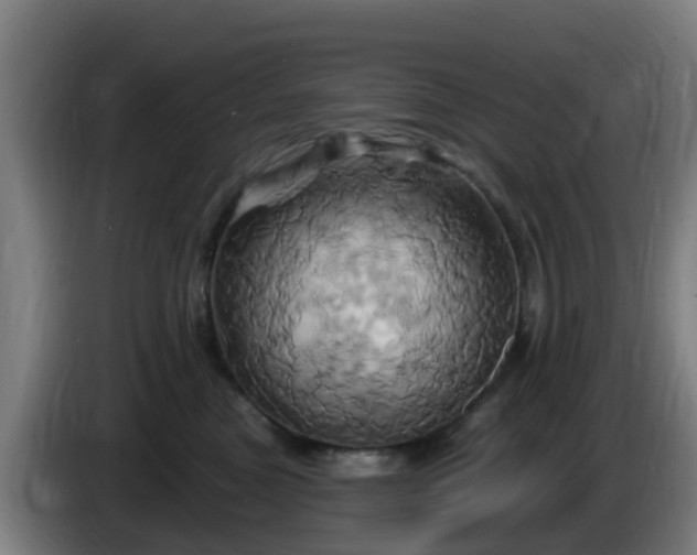 X0000086020473200703301036