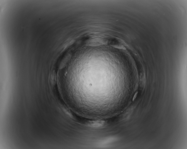 X0000086020474200703301036