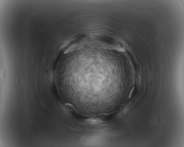 X0000086020477200703301036