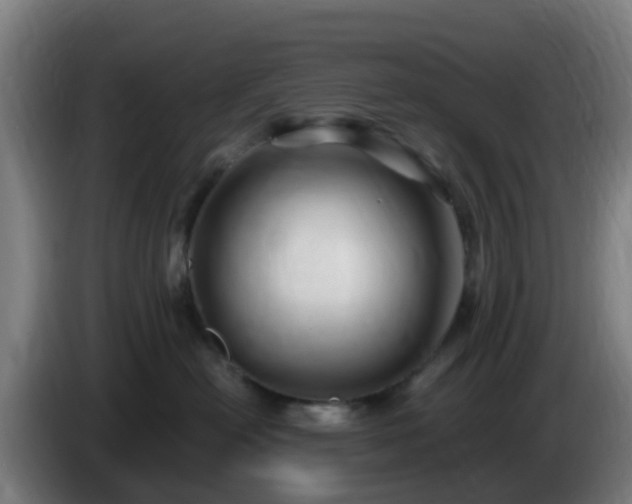 X0000086020478200703301036