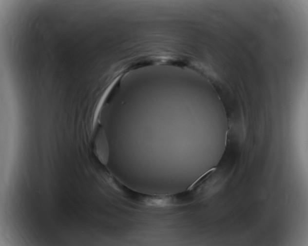 X0000086020479200703301036