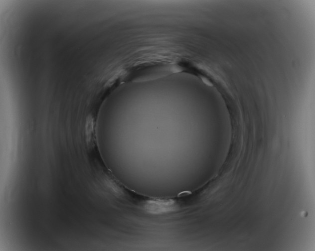 X0000086020480200703301036