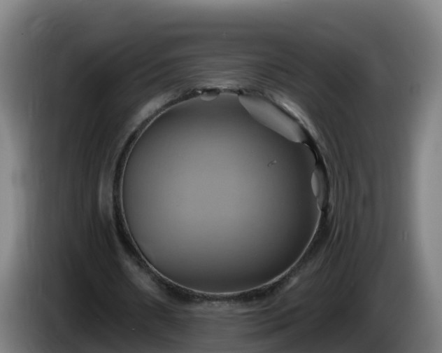 X0000086020482200703301035
