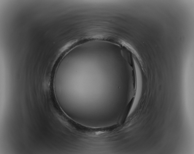 X0000086020483200703301035