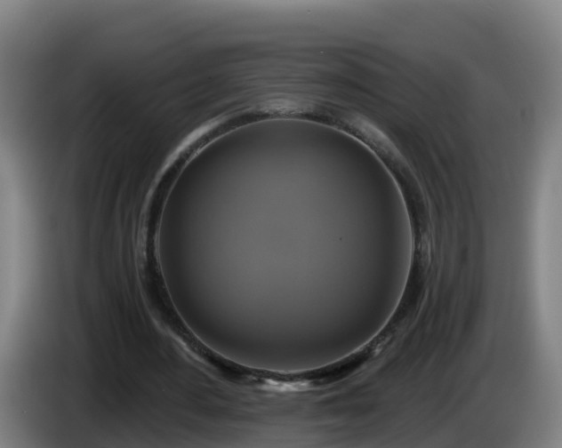 X0000086020484200703301035