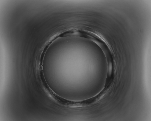 X0000086020485200703301035