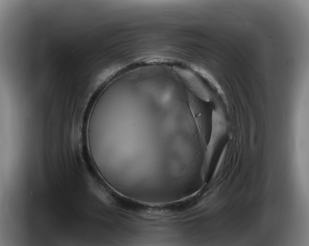 X0000086020487200703301035
