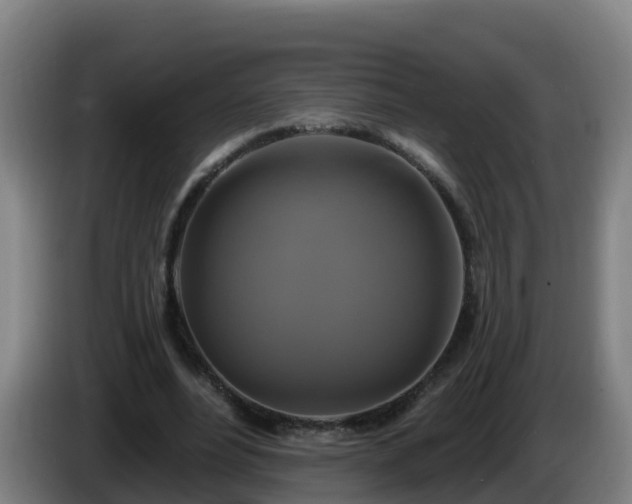 X0000086020488200703301035