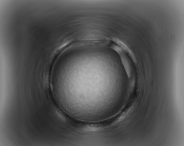X0000086020489200703301035