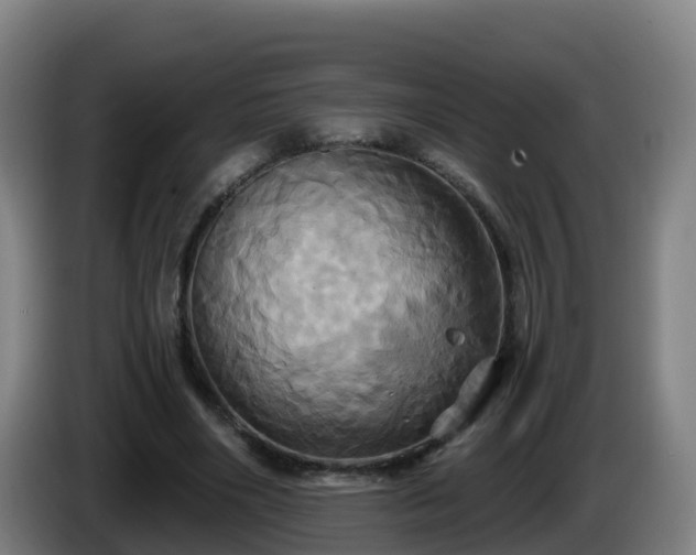 X0000086020490200703301035