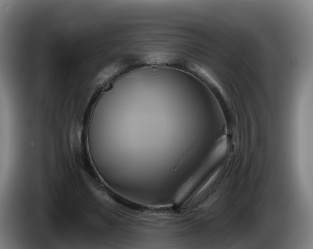 X0000086020491200703301035