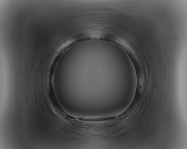 X0000086020492200703301035