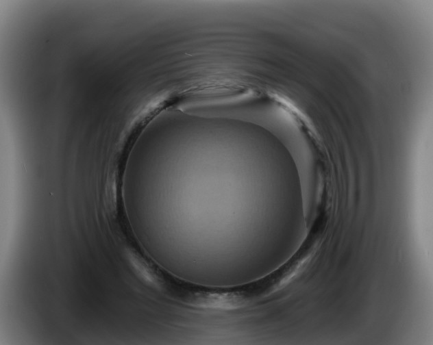 X0000086020493200703301035
