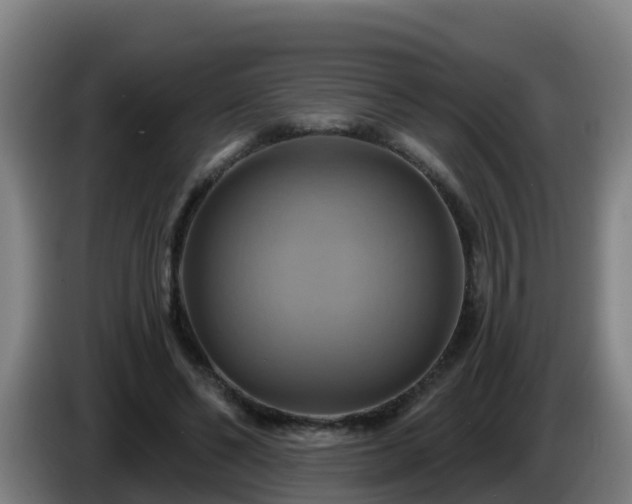 X0000086020494200703301035