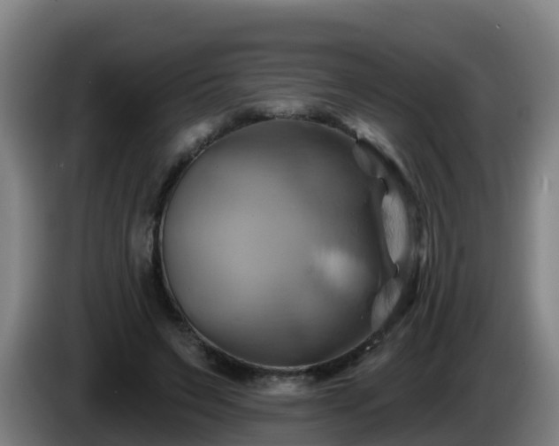 X0000086020495200703301035