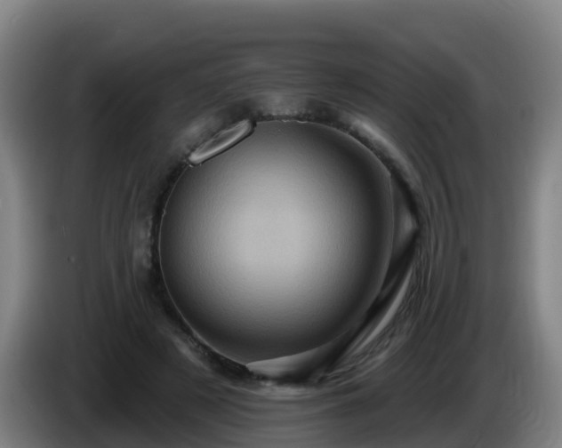 X0000086020497200703301035
