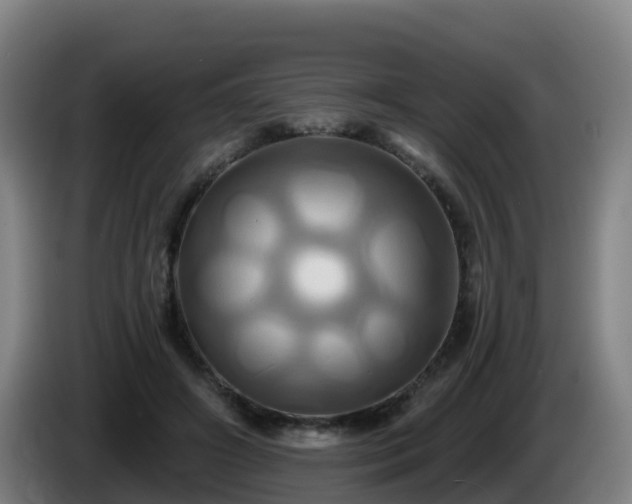 X0000086020498200703301035