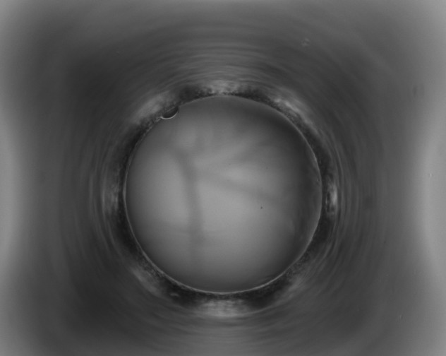 X0000086020499200703301035