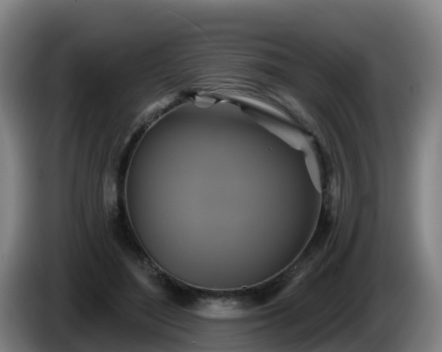 X0000086020500200703301035