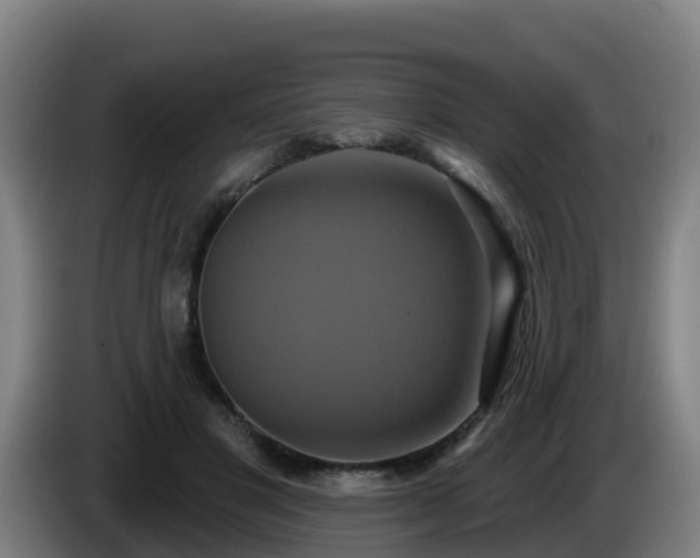 X0000086020501200703301035