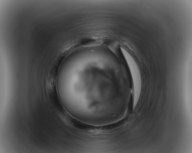 X0000086020503200703301035