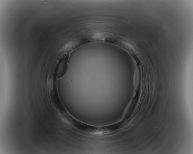 X0000086020504200703301035