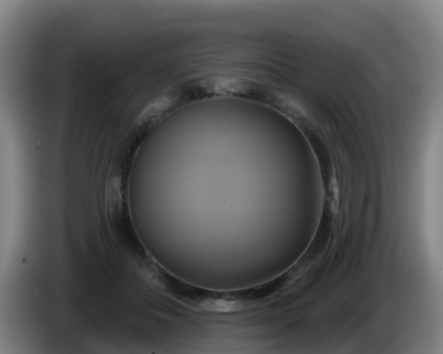 X0000086020506200703301035