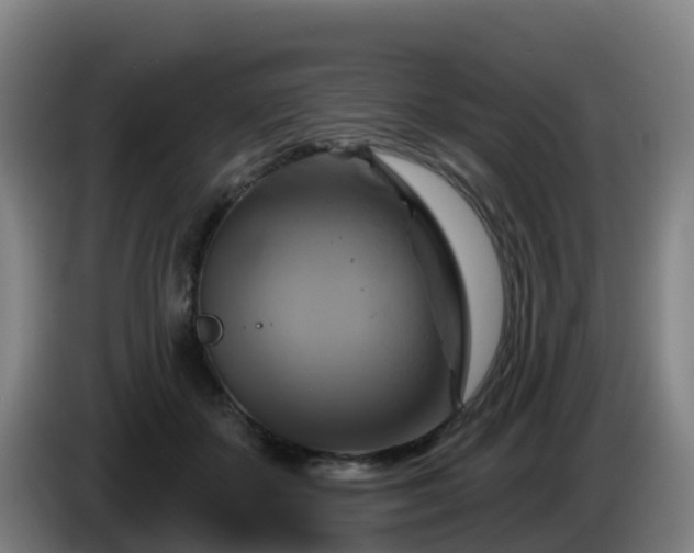 X0000086020507200703301035