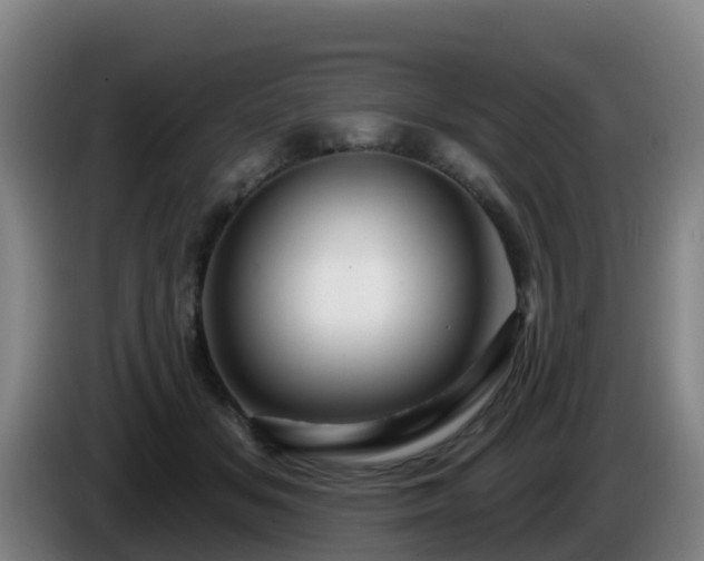 X0000086020509200703301035