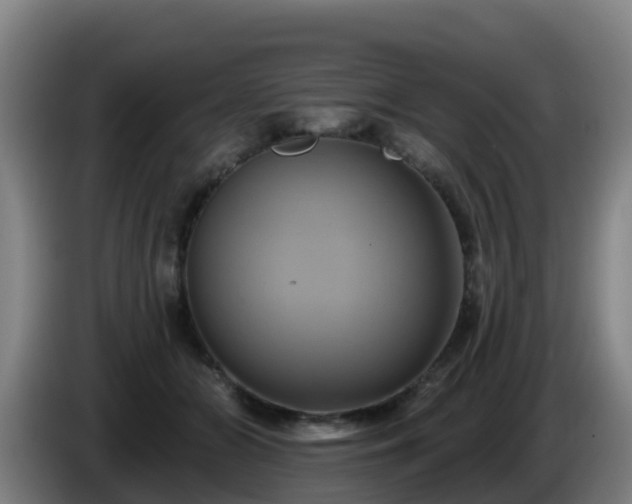 X0000086020510200703301035