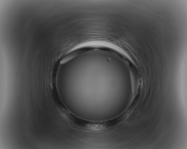 X0000086020512200703301035
