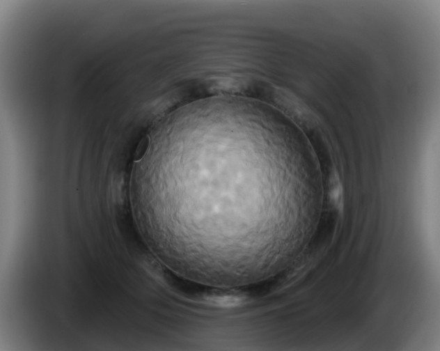 X0000086020514200703301035