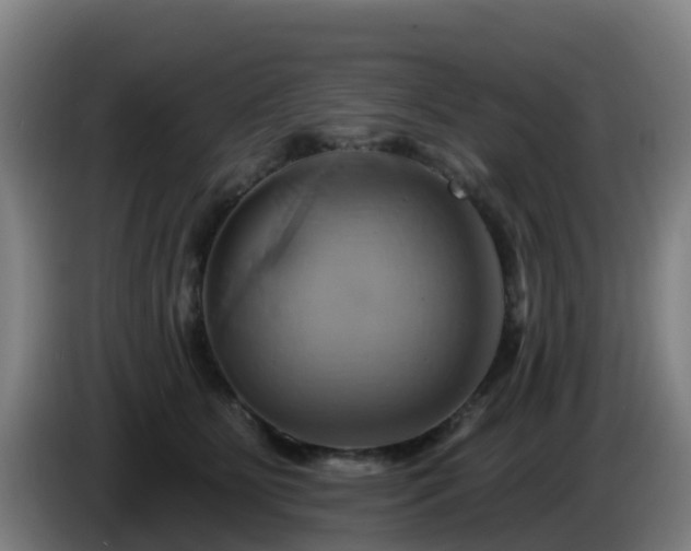 X0000086020515200703301035