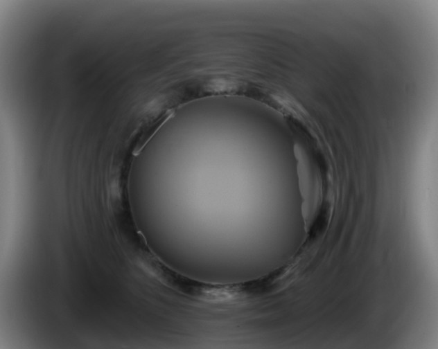 X0000086020516200703301035