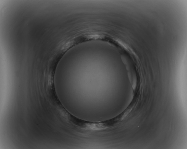 X0000086020517200703301035