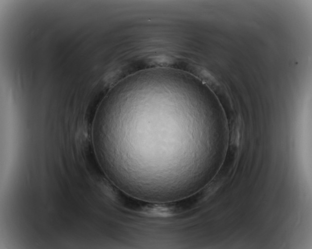 X0000086020518200703301035