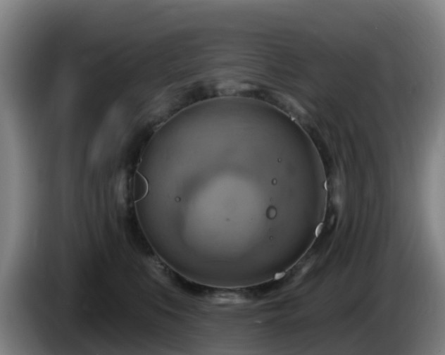 X0000086020519200703301035