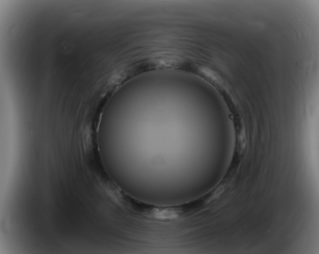 X0000086020520200703301035